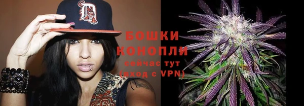 тгк Видное
