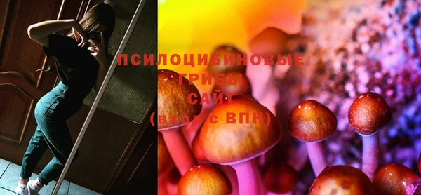 ECSTASY Валдай