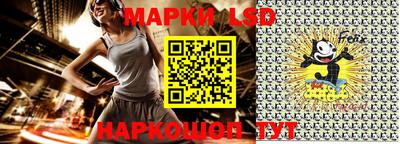 дмт Аргун