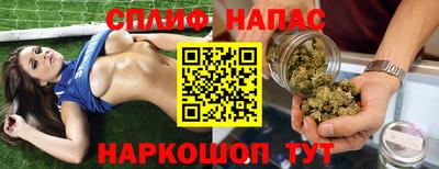 дмт Аргун