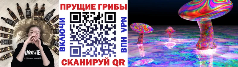Псилоцибиновые грибы мицелий  кракен маркетплейс  Краснокаменск 