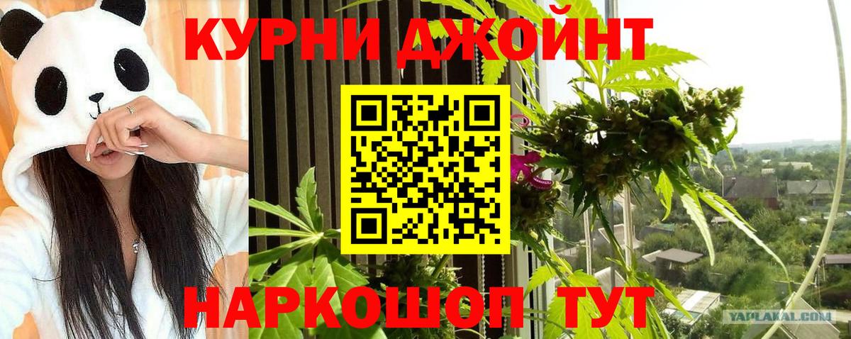 МАРИХУАНА сатива Краснокаменск